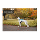 rush_harness_setting_8.png
