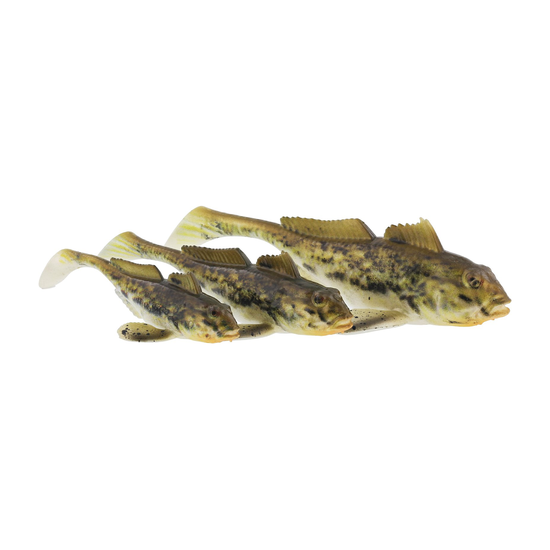 6-fairpoint-public-pim-bc-d15a82f4-533c-42eb-b29c-3daab0ce676f-p243_gunnar-the-goby_headline_large.png