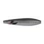 Baitfish