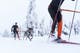 loype_belt_setting_3.jpg
