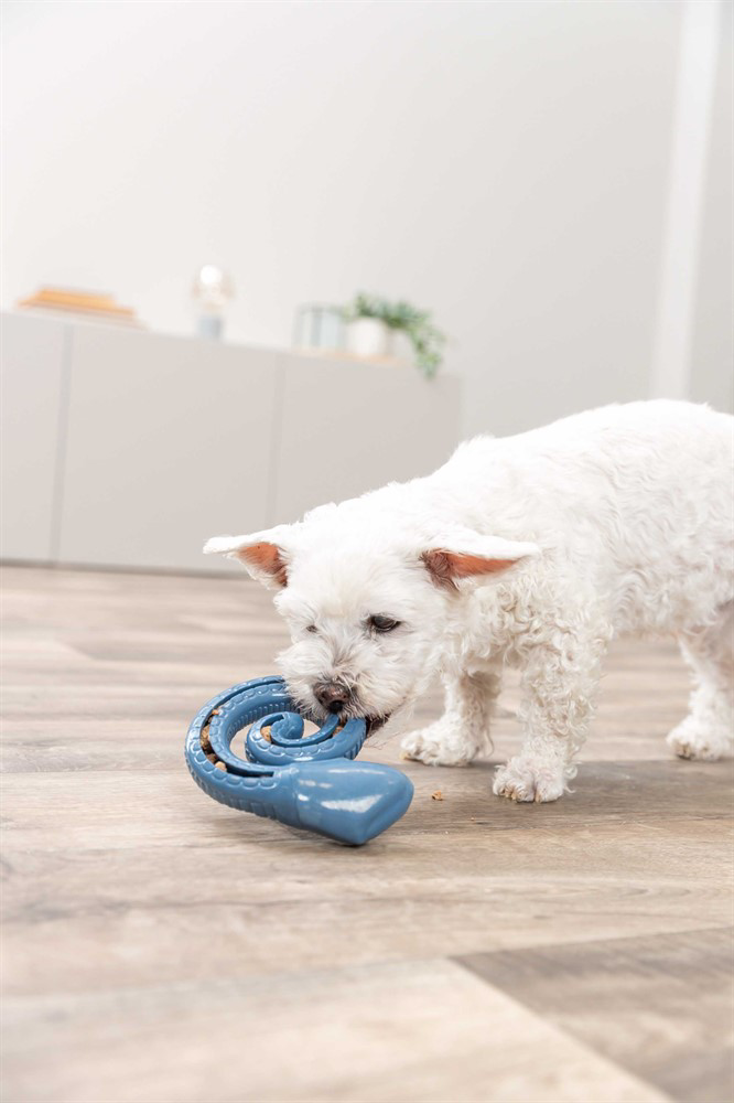prod1000-_dog_34950-6.png