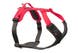 ramble_harness_1.jpg