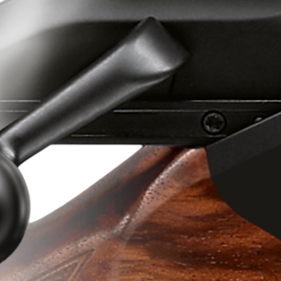 product-images-xl-blaser-dlc-slutstycksknopp-0.png