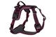 ramble_harness_4.jpg