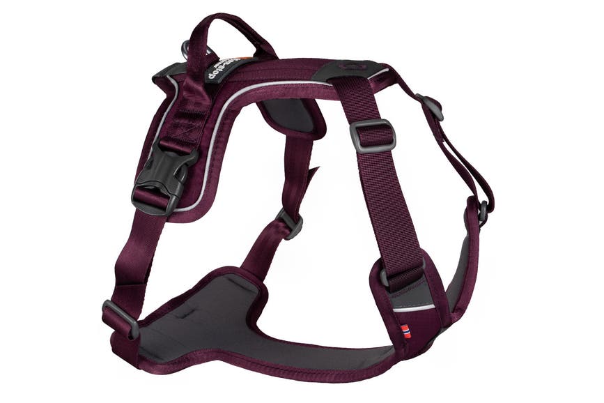 ramble_harness_4.jpg