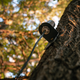 8e-70-1f-1709048223-680119_4.png