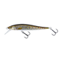Brown Trout Fry