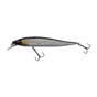 Baitfish