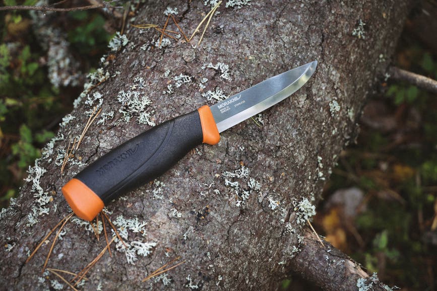 companion_hd_orange_2.jpg