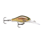 Live Brown Trout