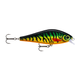 api-2000x2000,fit-new-101650.png
