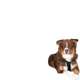 prod1000-1313_(2).png