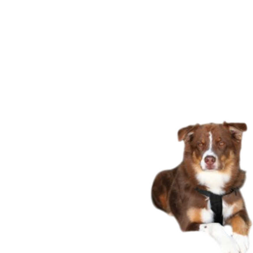 prod1000-1313_(2).png