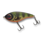 Orange Belly Perch UV