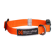 clr-35011_07.png