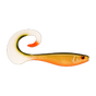 Scaled Roach