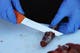morakniv_hunting straight boning (s)_pe01.jpg