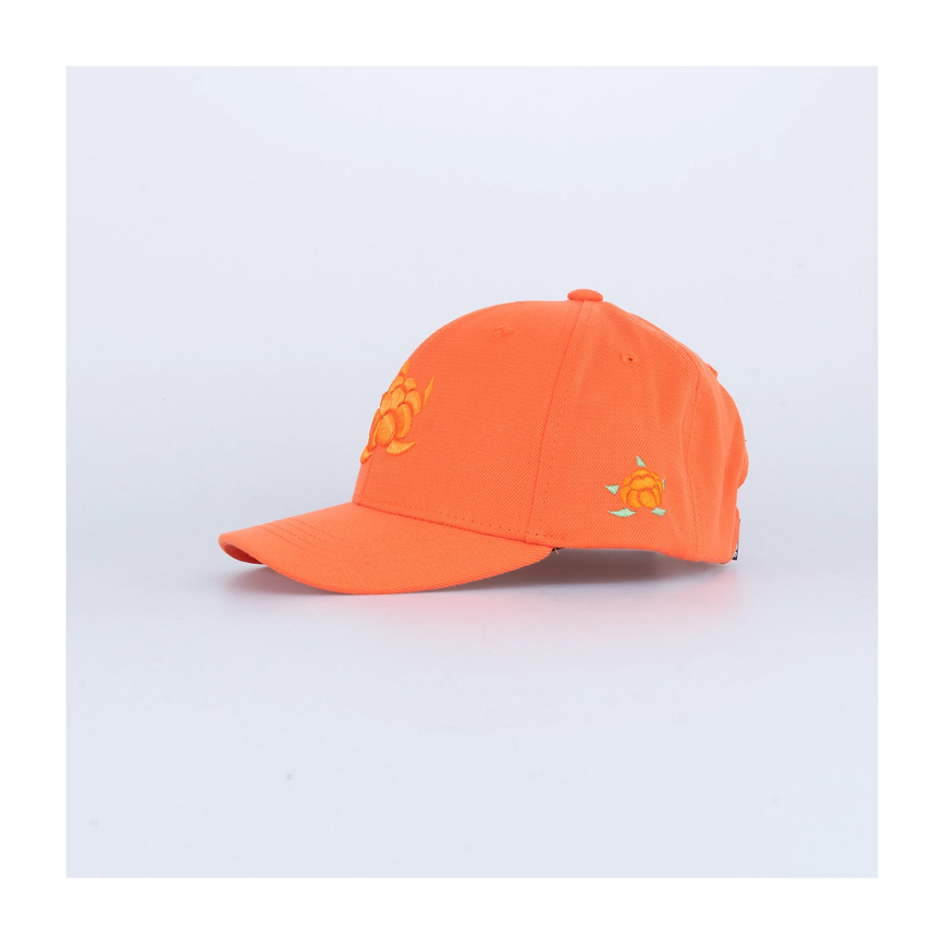files-cbbigkidshookedkeps-orange1.png
