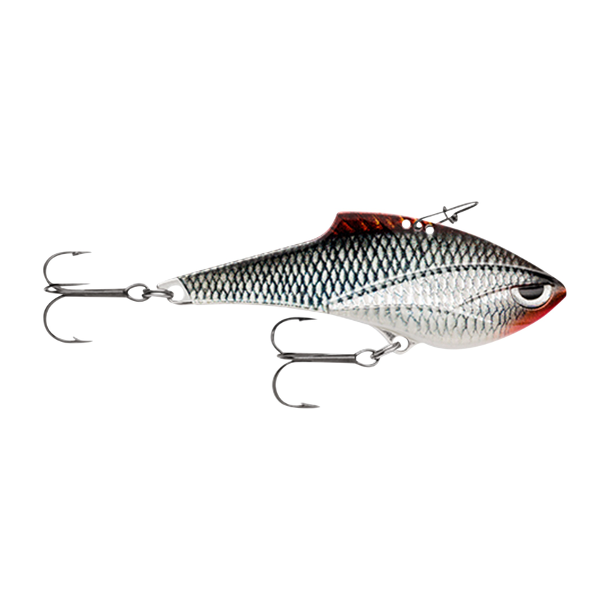 api-2000x2000,fit-new-151456.png