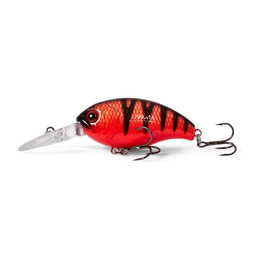 at203ftpe050_1_the_fat_50_mm_tomato_perch.png
