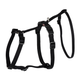 prod1000-13091-13094.png
