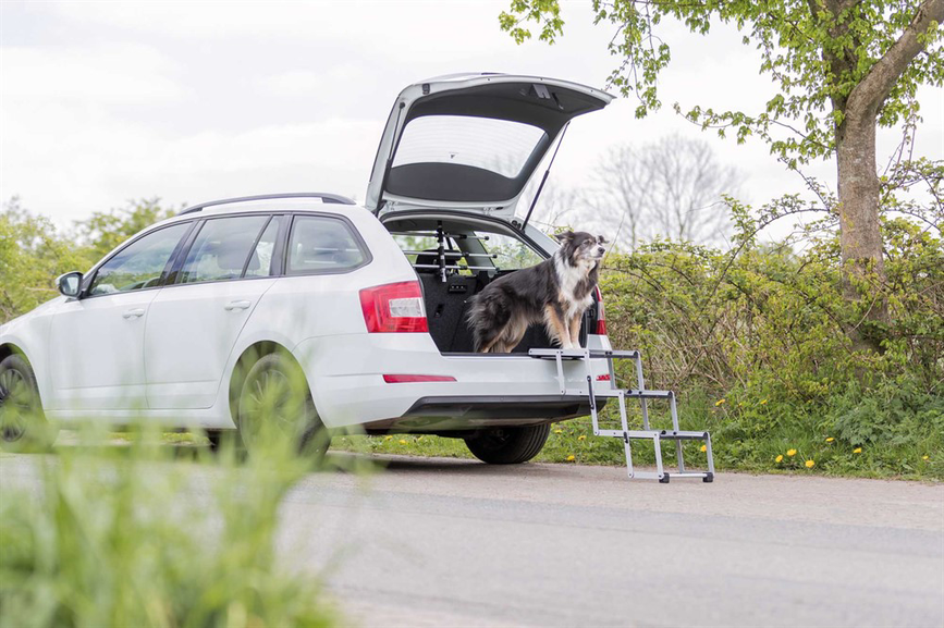 prod1000-image_dog_bordercollie-sonic-falttreppe-auto-5.png