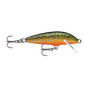 Brook Trout