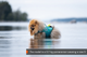 protector_life_jacket_teal_setting_3.png