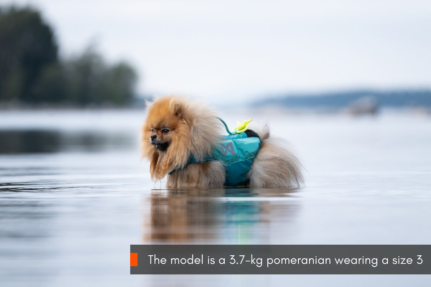 protector_life_jacket_teal_setting_3.png