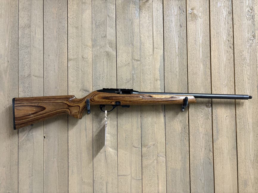 Remington 597 .22lr.jpg