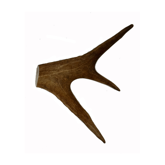 cdn-shop-files-199547205-origpic-c9db1c_900x.png