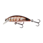 Brown Shrimp
