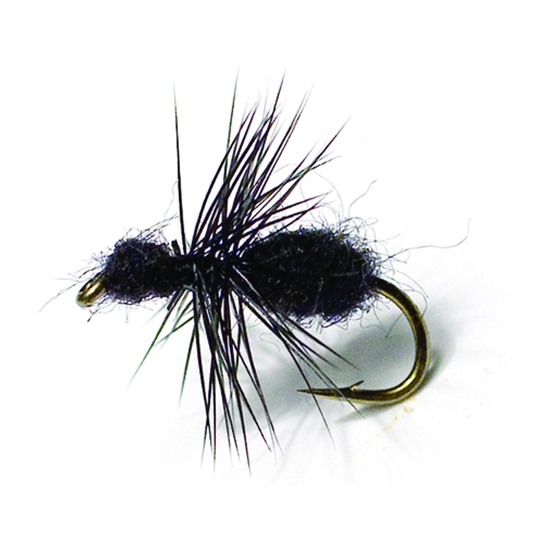 4-fairpoint-public-pim-bc-f5aaa870-cc60-4c25-9fc8-6f39035811a6-fl44099m_fl44021_large.png