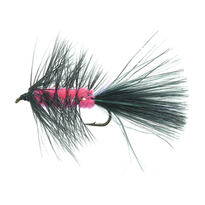 4-fairpoint-public-pim-bc-2453e831-ed32-4051-b676-521aea487927-fl20000m_fl20015_large.png