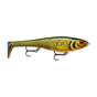 Scaled Roach