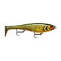 Scaled Roach