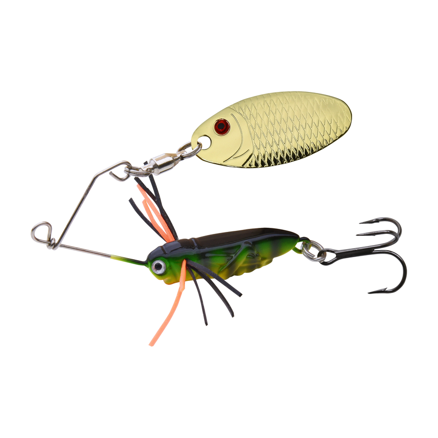 bug65-03.png