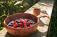 kupilka_bowl_-k55_berries.jpeg