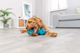 prod1000-pro_dog_35251-8.png