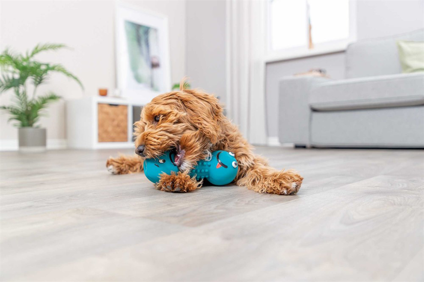 prod1000-pro_dog_35251-8.png