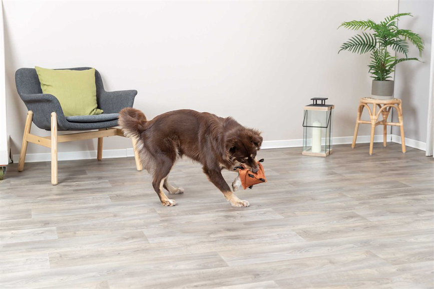 prod1000-dog_34726-1.png
