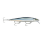 Anchovy