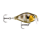api-2000x2000,fit-new-146504.png
