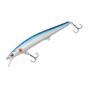 Blue Roach