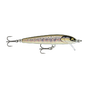 Gilded Brown Trout