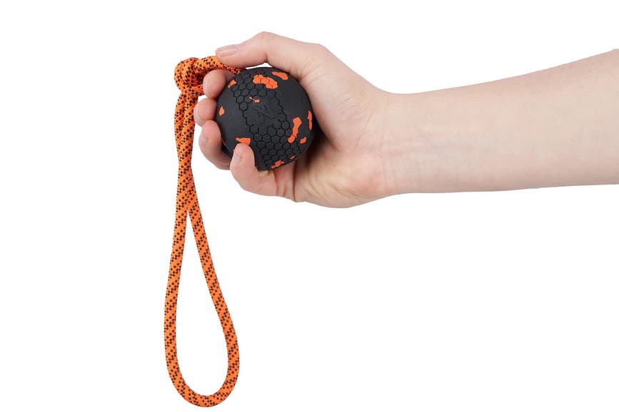 dogballonrope_8102-8103_02.jpg