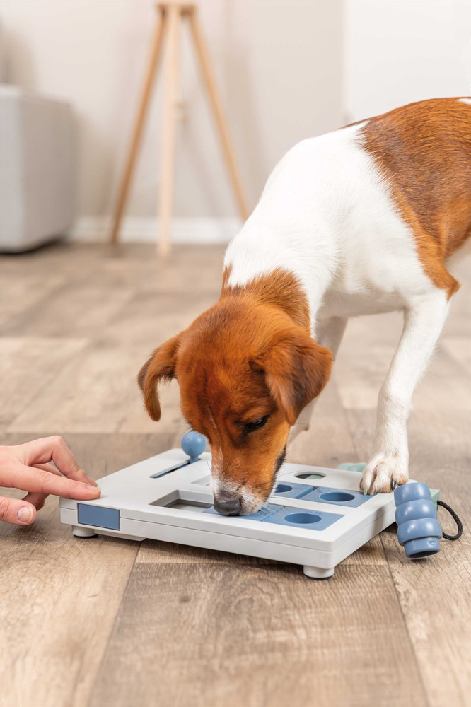 prod1000-dog_32029-8.png