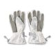 j0010337_2.png