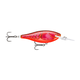 api-2000x2000,fit-new-146564.png