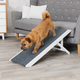 prod1000-pro_dog_39375-1.png